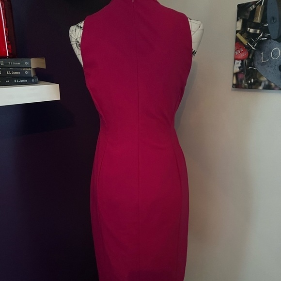 Rachel Roy Sleeveless Fuchsia Dress NWT - Picture 6 of 9